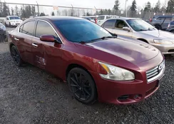 1N4AA5AP7DC809175: 44176633