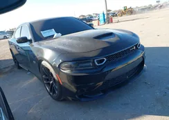 2C3CDXGJ8MH666912: 44176709