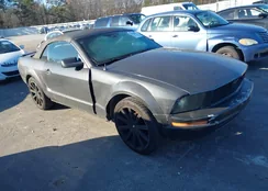 1ZVFT84N975312639: 44176721