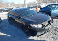 19XFC2F56GE239022: 44177552