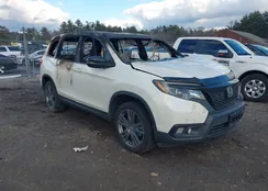 5FNYF8H50KB018129: 44177882