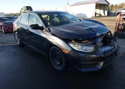 2HGFC2F56HH532555: 44177943