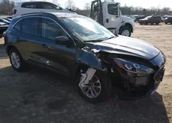 1FMCU9G67LUC66253: 44177131