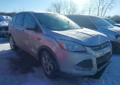 1FMCU9G90EUD71620: 44177230