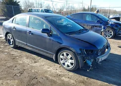 2HGFA1F56BH530344: 44178824