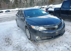 4T1BF1FK7DU296876: 44178071