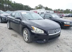 1N4AA5APXDC819795: 44178101