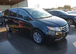 5FNRL5H65HB021055: 44178249