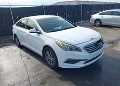 5NPE24AFXFH176737: 44178396