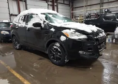 1FMCU9GX4GUC24332: 44179562