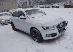 WA1LFAFP8FA060286: 44179607