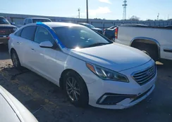 5NPE24AF3HH469382: 44180547