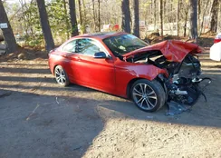 WBA1F5C57FV257110: 44180724