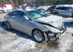 5NPEC4AC4BH117342: 44180959