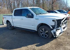 1FTEW1EP4FFB79598: 44181409