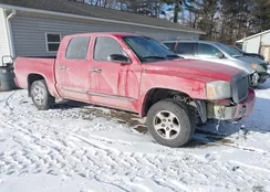 1D7HW48P57S242782: 44181475