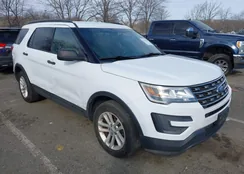 1FM5K8B81GGB00512: 44181541