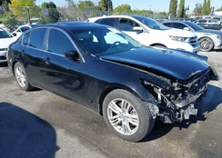 JN1CV6AP6DM724600: 44181156