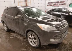 1FMCU9J96FUA60526: 44182496