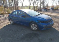 2HGFB2F50FH509952: 44182743