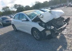 5NPE24AF8GH294416: 44182225