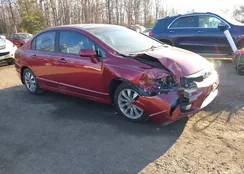 2HGFA1F84BH502276: 44182384