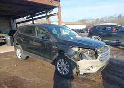 1FMCU9GD1HUD71506: 44183593