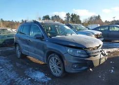 WVGBV7AX9FW537014: 44183862