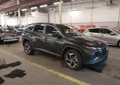 5NMJFCAEXPH218309: 44183225