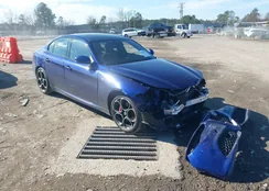 ZARFAMBN9N7662560: 44183255