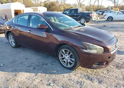 1N4AA5AP3EC494831: 44183407