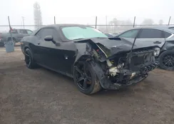 2C3CDZBTXGH113834: 44184994