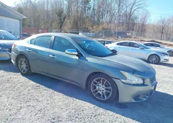 1N4AA5AP2AC855217: 44184189