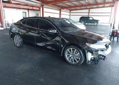 19UUB2F38GA004120: 44185434