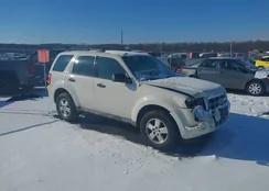 1FMCU0DGXAKC07859: 44185555