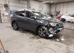 JTMRFREV5GD191111: 44185565