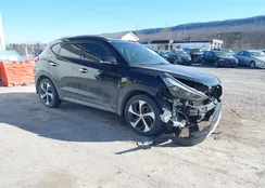 KM8J3CA2XJU822601: 44185675