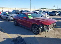 1FA6P8TH7H5227311: 44185034