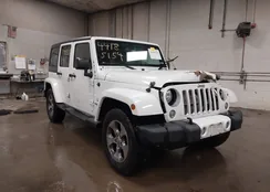 1C4HJWEG2GL213324: 44185154