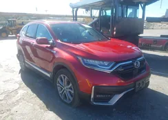 5J6RT6H99NL024883: 44185294