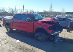 1FTFW1EV9AFA50896: 44185332