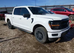 1FTFW3L5XRKF53757: 44186410