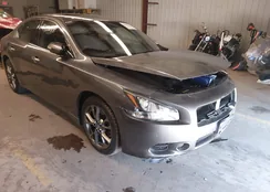 1N4AA5AP6EC478574: 44186415