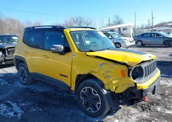 ZACCJBCT0FPB56223: 44187437