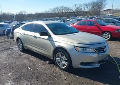 2G11Y5SL4E9157182: 44187608