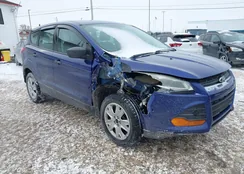 1FMCU0F7XEUD56828: 44187831