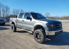 1FTFW1EF9DKF05346: 44188513