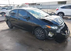 19XFB2F53CE384306: 44188678