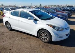 5NPDH4AEXEH495667: 44189720