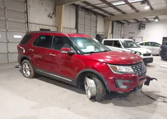 1FM5K7F84GGD33742: 44189769